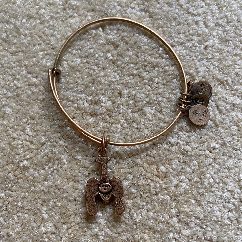 Lobster Alex and ani bangle - Picture 2 of 2